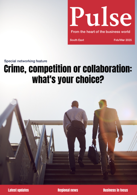 pulse issue 22 south east