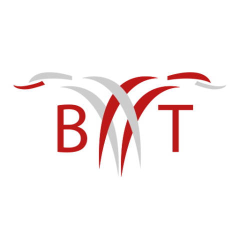 b&t scaffolding ltd logo